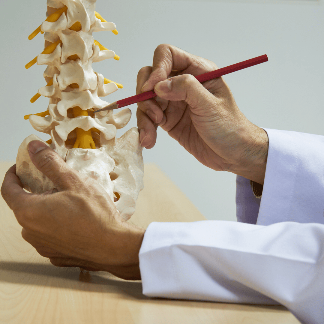7 Types Of Pain In The Back and Neck Balanced Physical Therapy